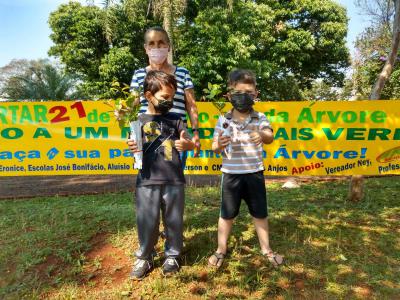 Projeto Despertar distribui mudas de Ã¡rvores neste sÃ¡bado para a populaÃ§Ã£o